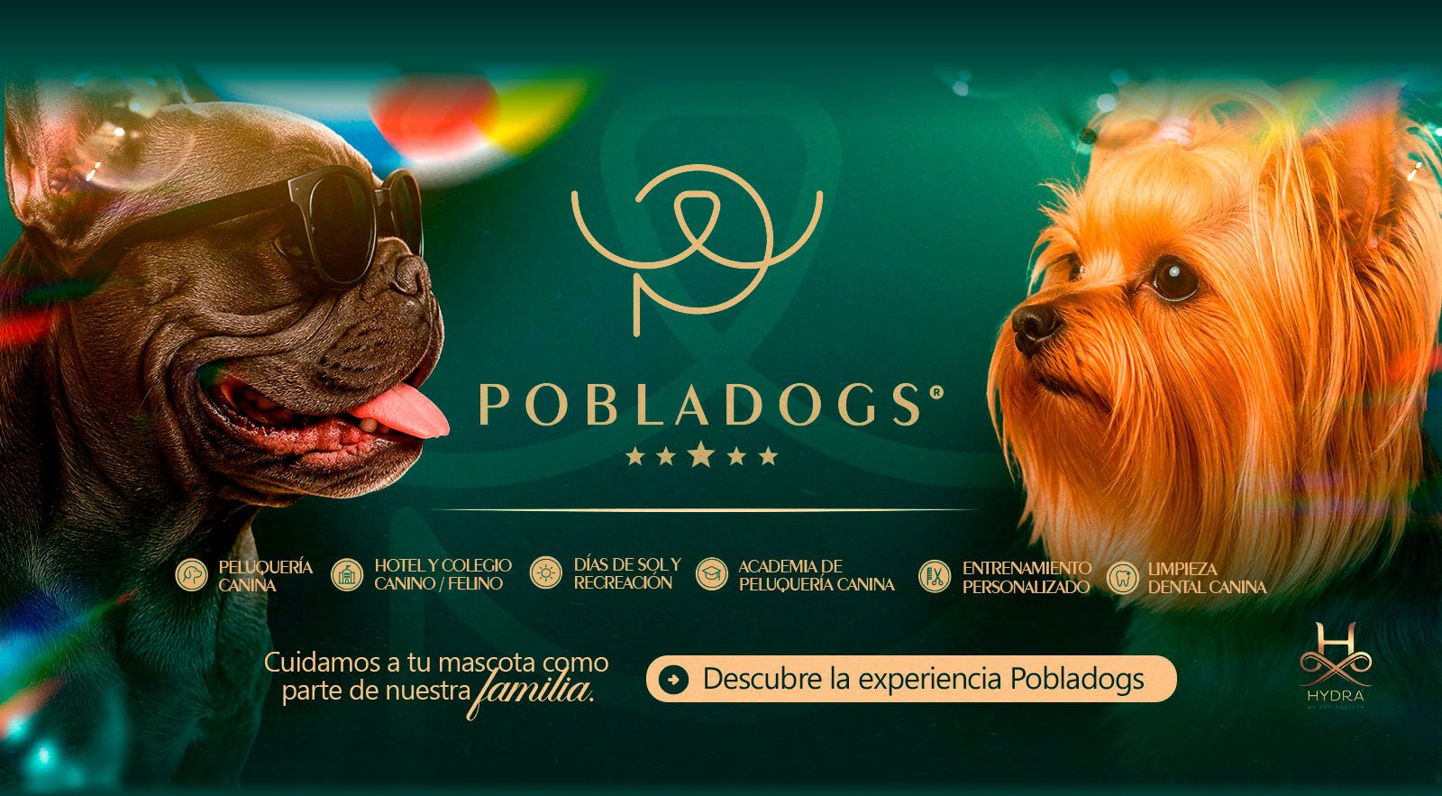Pobladogs — banner 1