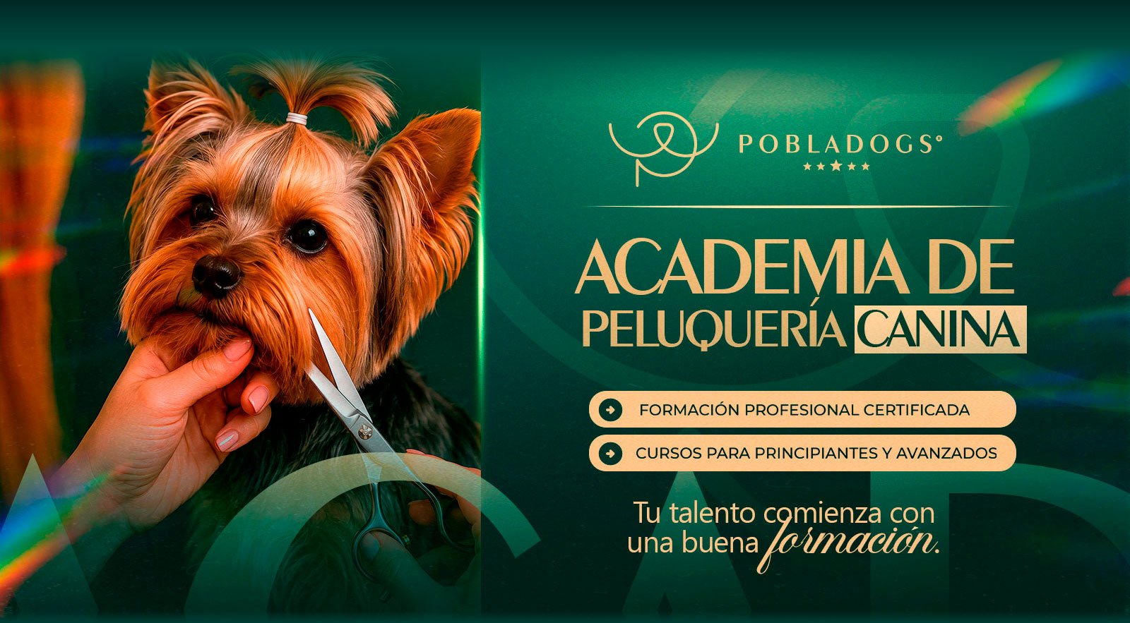 Pobladogs — banner 3