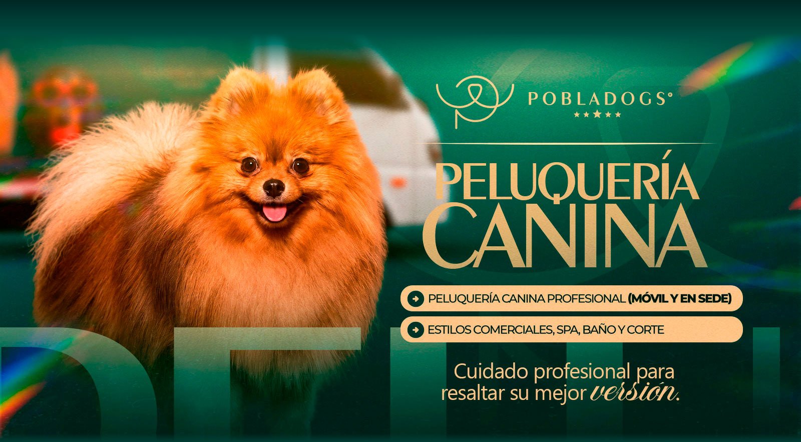 Pobladogs — banner 4