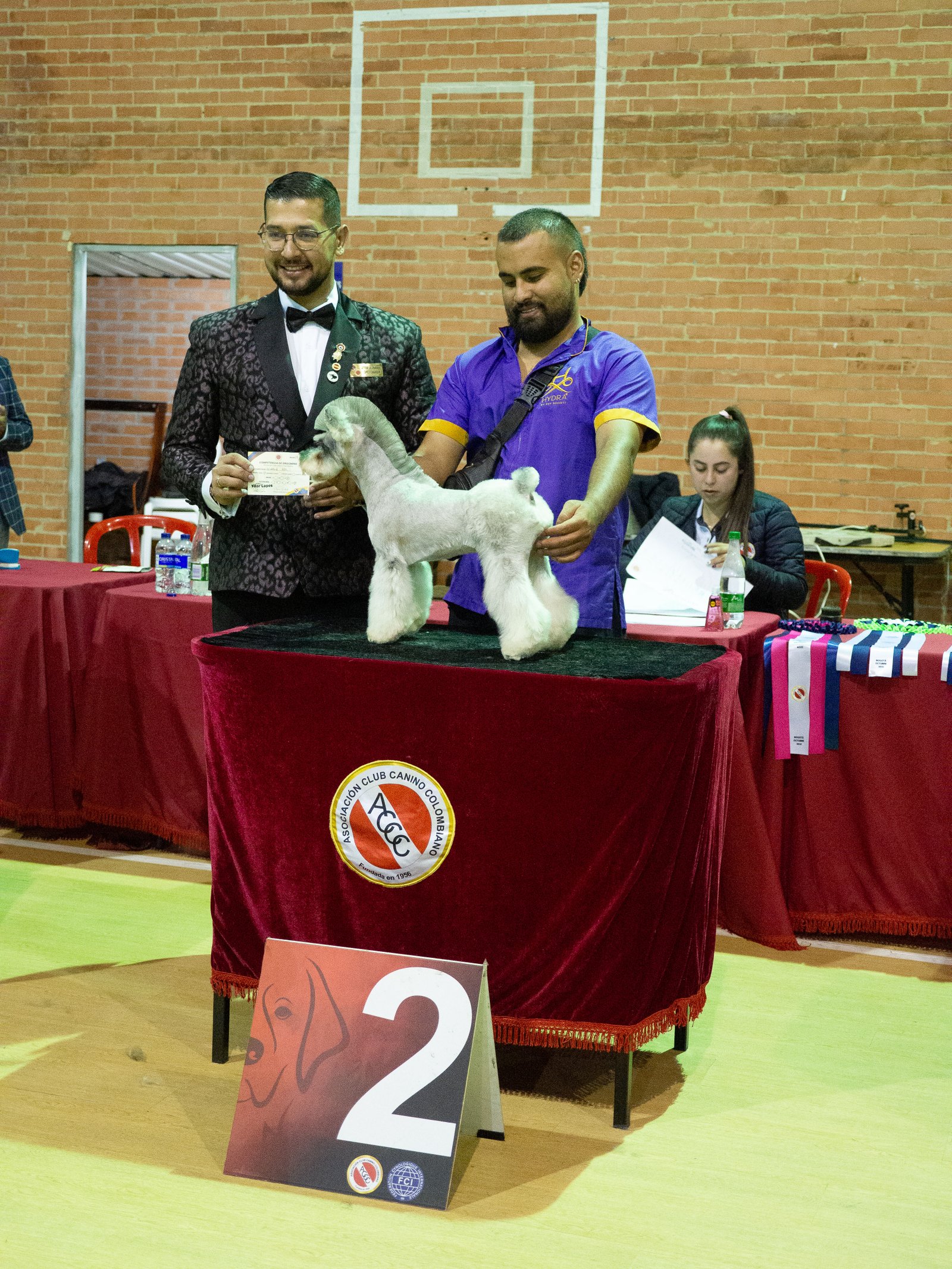 Concurso 9