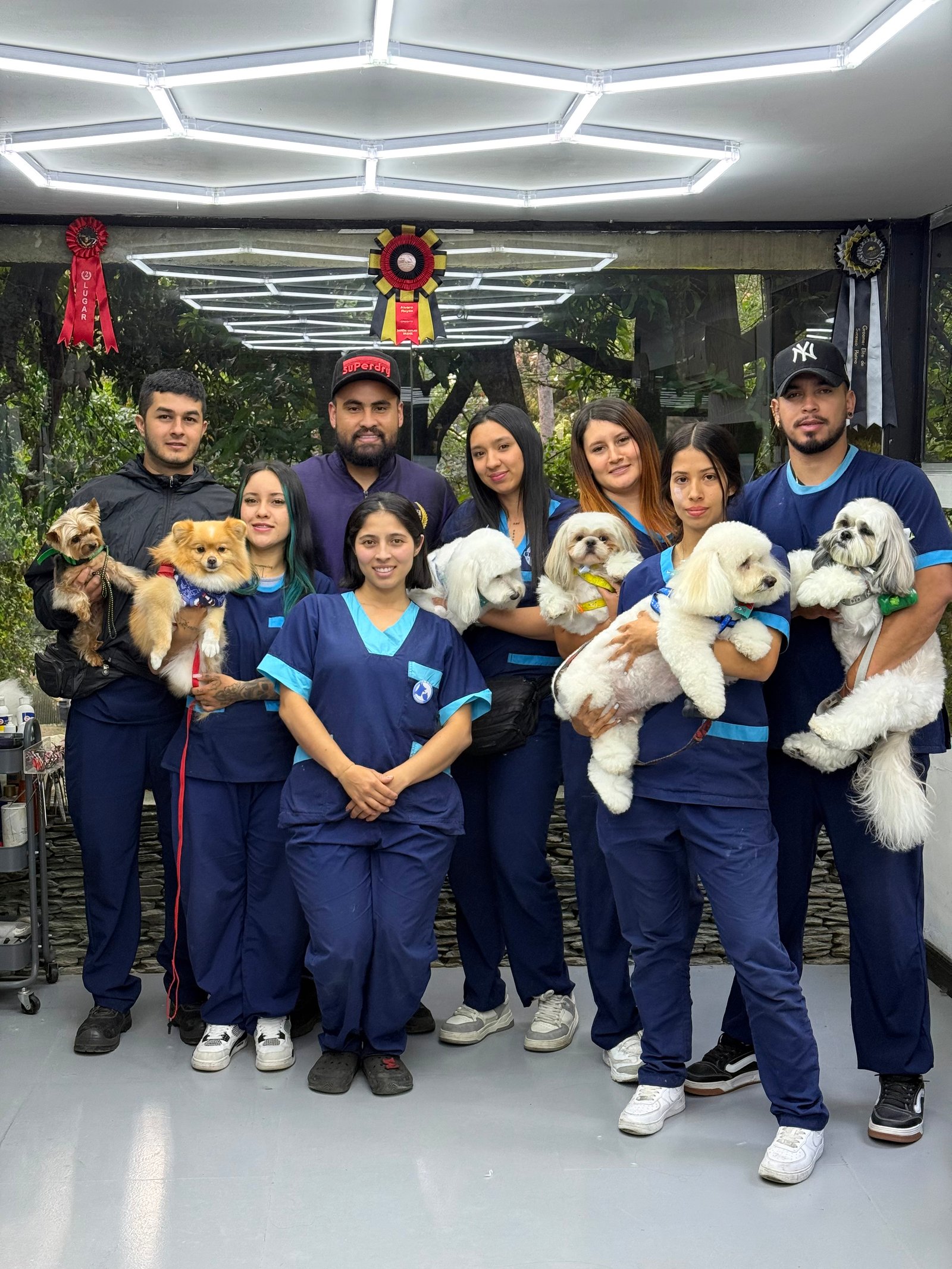Groomer profesional en práctica - Pobladogs Academia