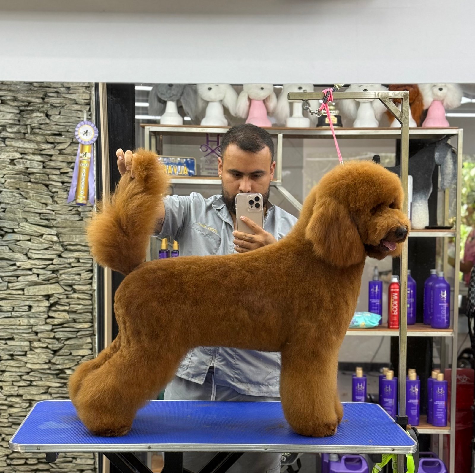 Peluquería canina profesional - Pobladogs