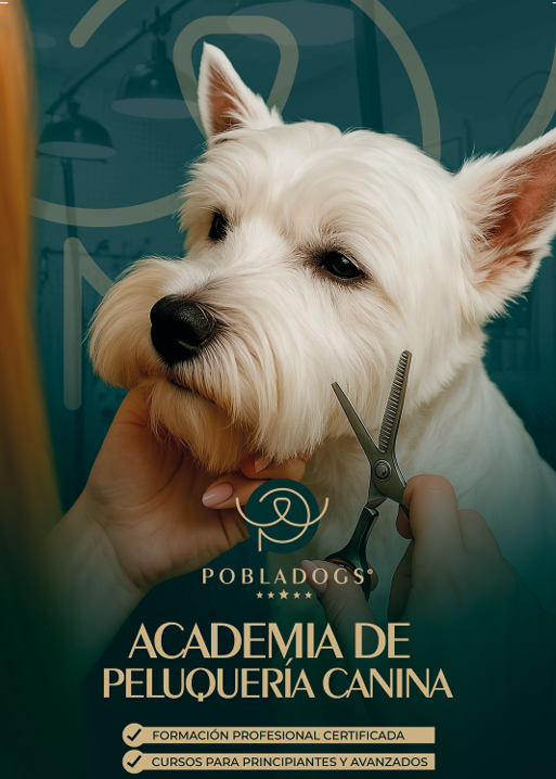 Academia — <span class="brand-name">Pobladogs</span>