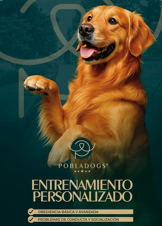 Entrenamiento — <span class="brand-name">Pobladogs</span>